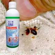 Bed Bug Control 450 ML
